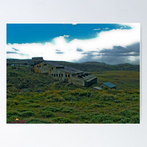 Item preview, The Carissa Gold Mine designed and sold by Howard Lorenz.