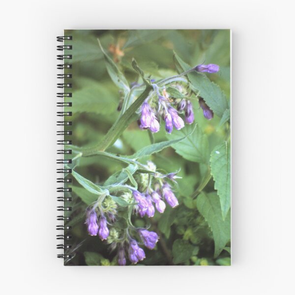 Item preview, comfrey designed and sold by Gourmetkater.