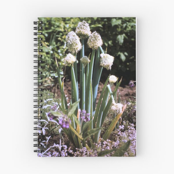 Item preview, Winter-rear onion designed and sold by Gourmetkater.