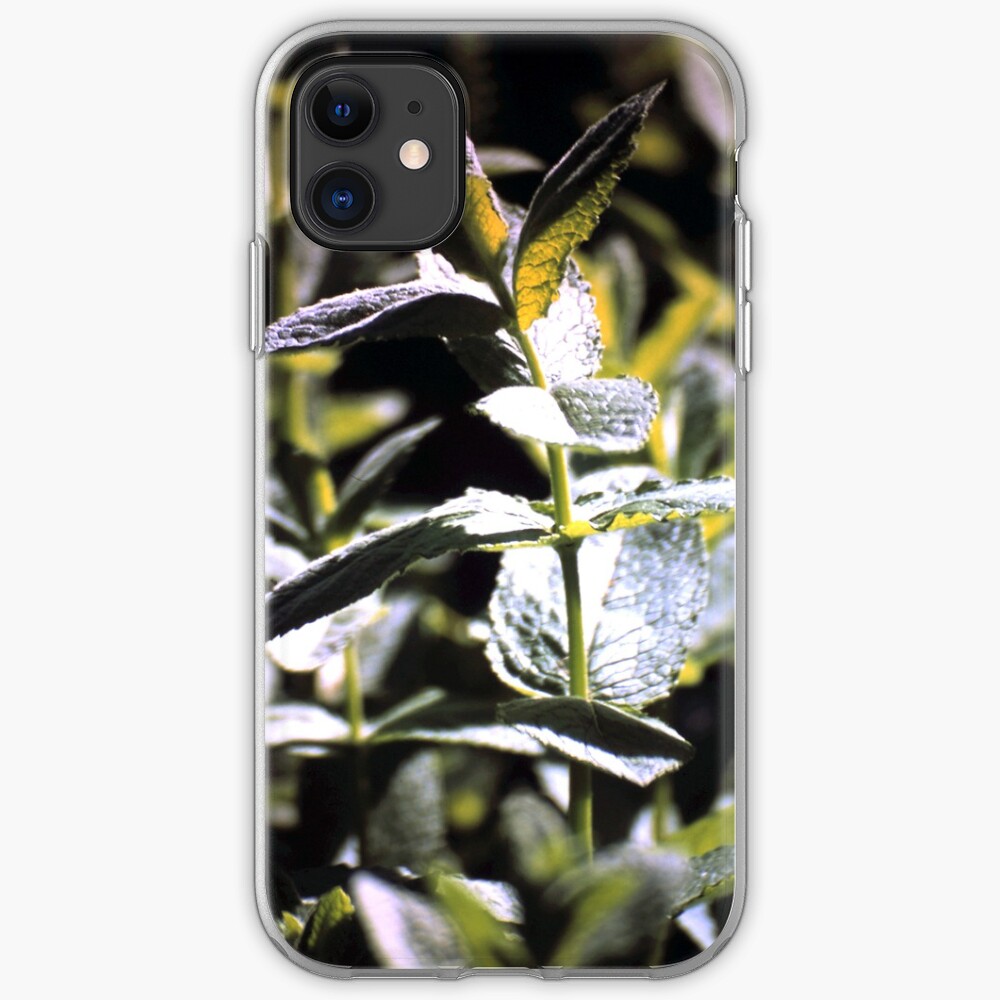 Pfeffer-Minze iPhone-Hülle & Cover
