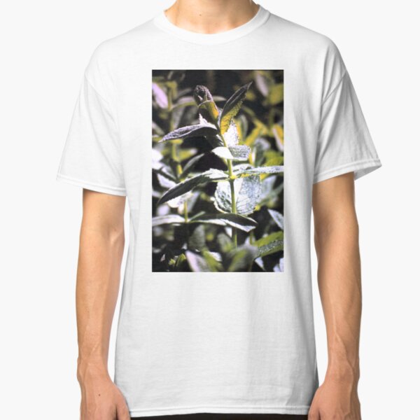Pfeffer-Minze Classic T-Shirt