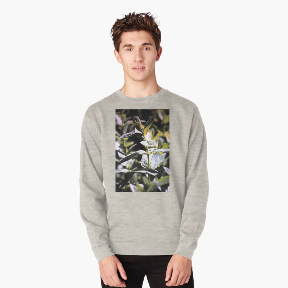 Artikel-Vorschau von Pullover, designt und verkauft von Gourmetkater.