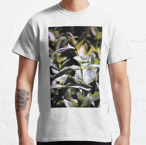 Pfeffer-Minze Classic T-Shirt