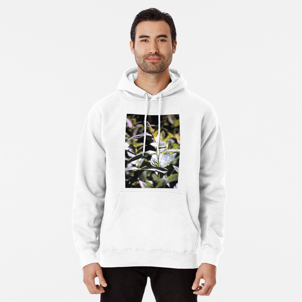 Artikel-Vorschau von Hoodie, designt und verkauft von Gourmetkater.