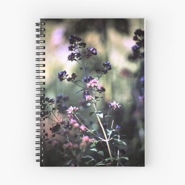 Item preview, Blooming oregano designed and sold by Gourmetkater.