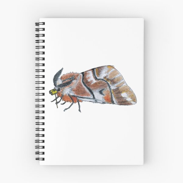 Item preview, Fashionable Divorcee Moth designed and sold by JoandCoArt.