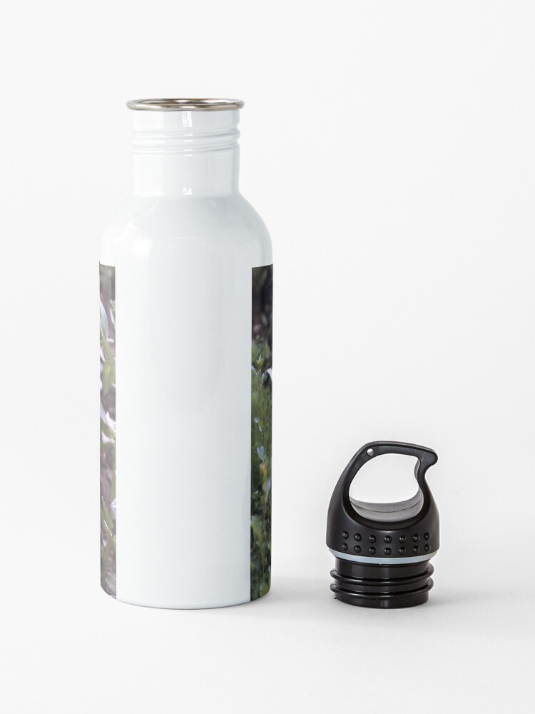 Alternative Ansicht von Die Puff-Bohnen Trinkflasche