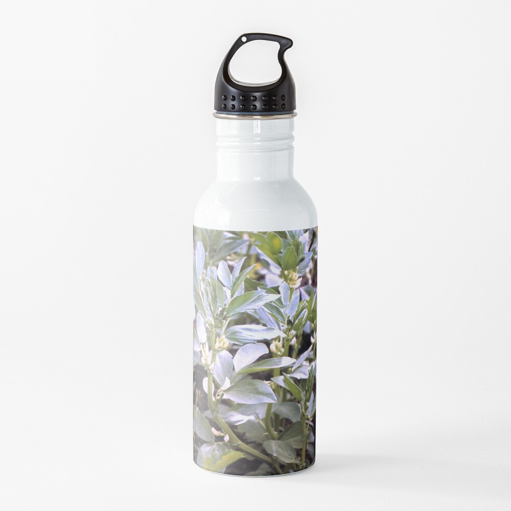 Die Puff-Bohnen Trinkflasche