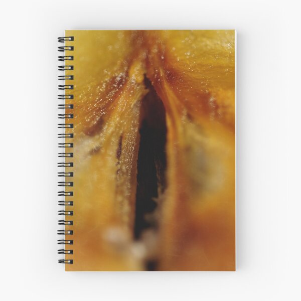 Item preview, An Apple - 1 designed and sold by lumiwa.