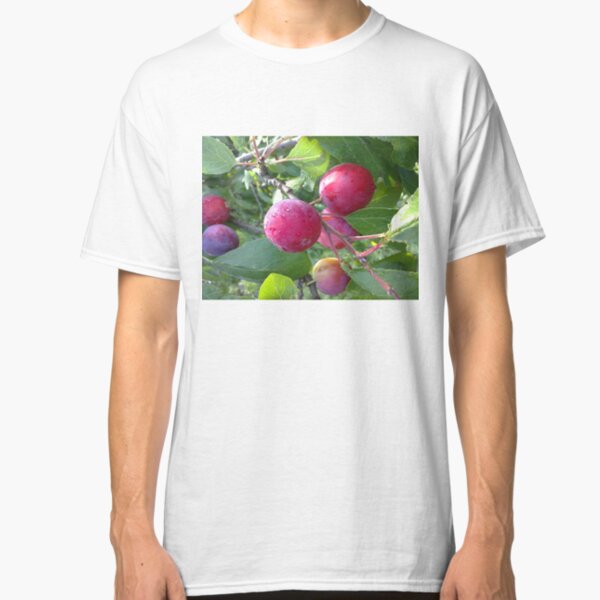 Schöne Renekloden Classic T-Shirt