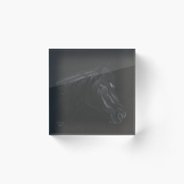 Le Noir, looking right Acrylic Block