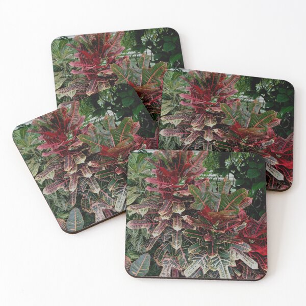 Item preview, Croton designed and sold by Ana Belaj.
