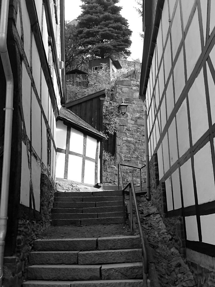 Gasse in Stolberg / Harz mit Treppe in schwarz-weiß von Gourmetkater