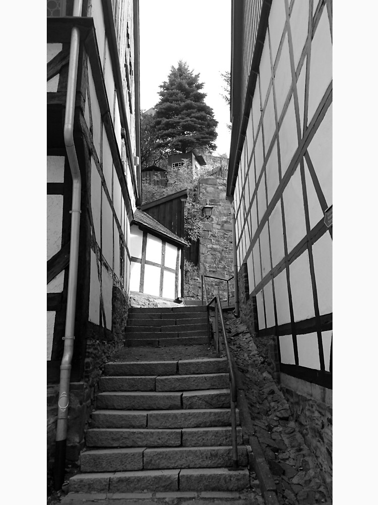 Gasse in Stolberg / Harz mit Treppe in schwarz-weiß von Gourmetkater