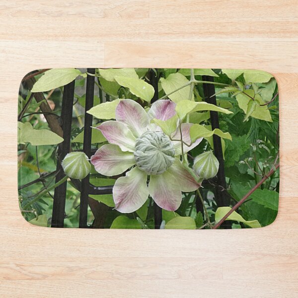 Item preview, Clematis Flower designed and sold by EternalRainbow.