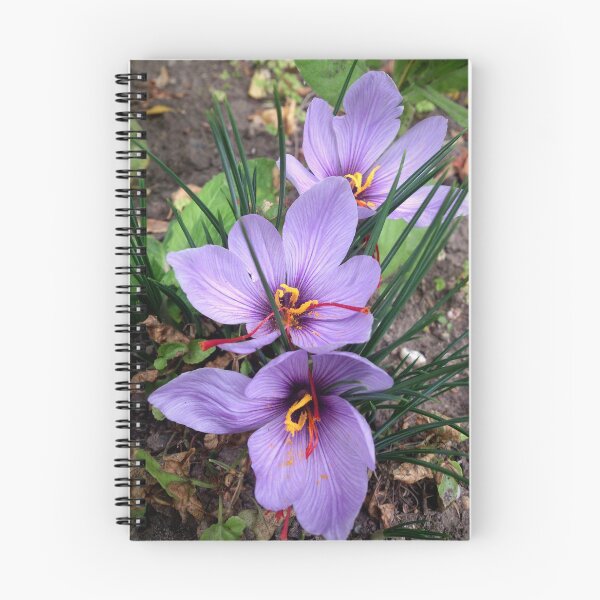 Item preview, saffron designed and sold by Gourmetkater.