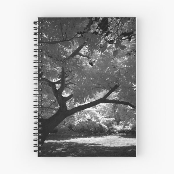 Item preview, Focal Point designed and sold by Bernai Velarde.