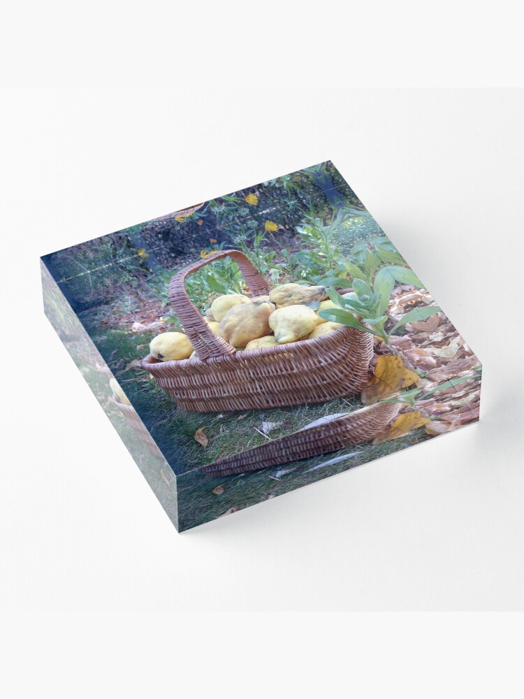 Alternative Ansicht von Quitten im Korb Acrylblock