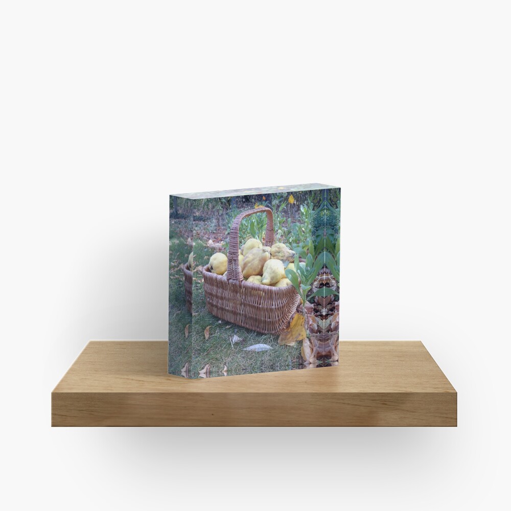 Quitten im Korb Acrylblock