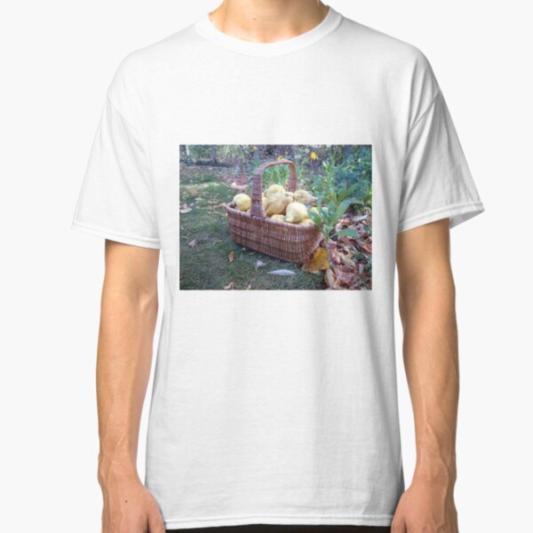 Quitten im Korb Classic T-Shirt