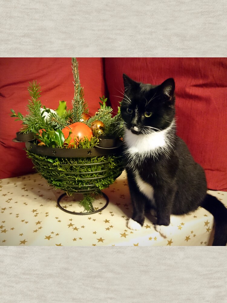 Katze Mimi mag Weihnachten von Gourmetkater