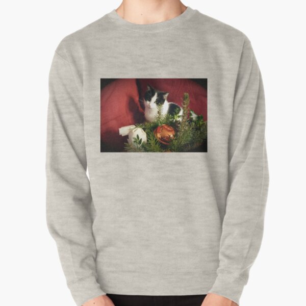 Katze Lilli mag Weihnachten Pullover
