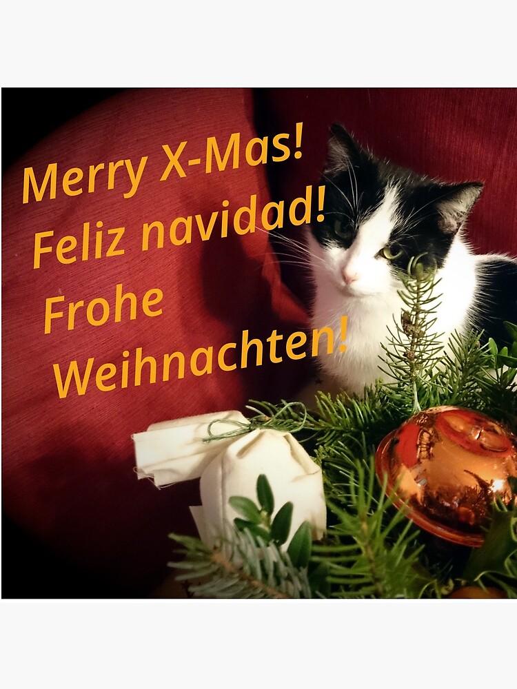 Katze Lilli mag Weihnachten - Merry XMas! von Gourmetkater