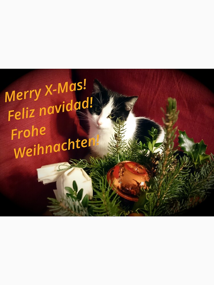 Katze Lilli mag Weihnachten - Merry XMas! von Gourmetkater
