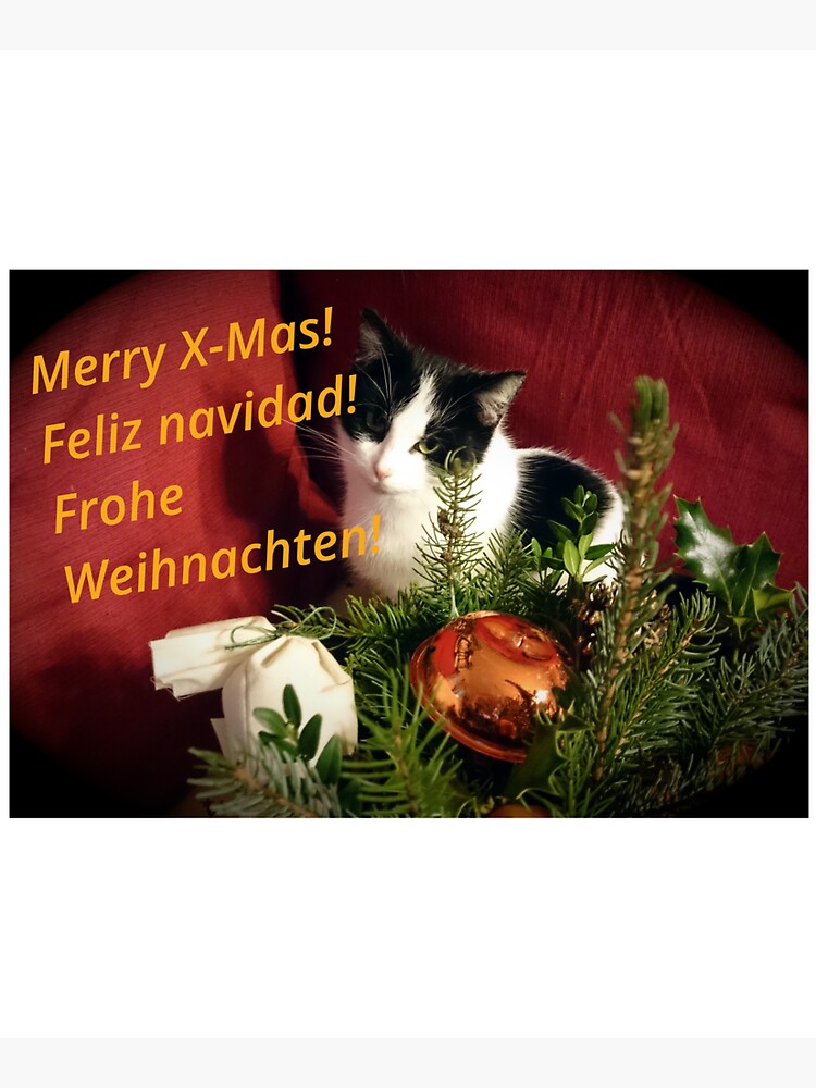 Katze Lilli mag Weihnachten - Merry XMas! von Gourmetkater