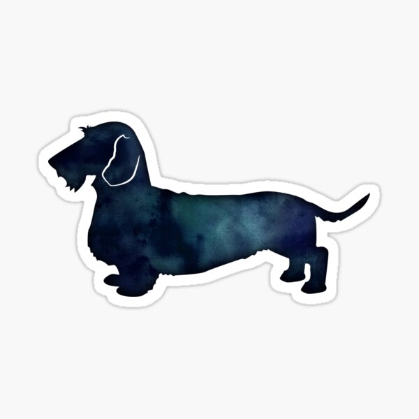 Rough Dachshund Dog Breed Black Indigo Blue Watercolor Sticker