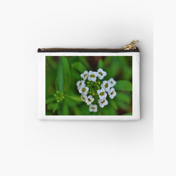 Item preview, Sweet Alyssum designed and sold by Eileen Brymer.