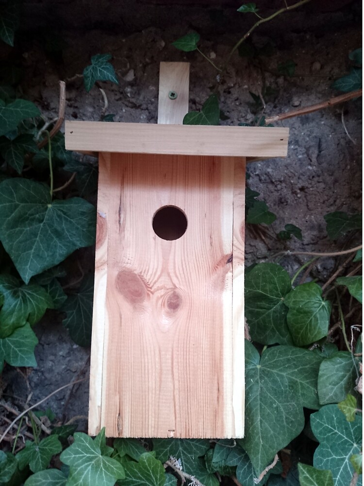 Der Nistkasten - Luxus für den Garten-Vogel von Gourmetkater
