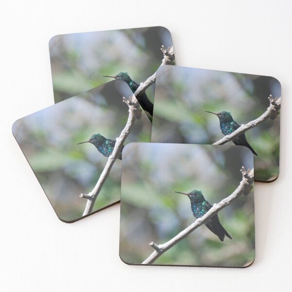 Item preview, Canivet's Emerald Hummingbird in Monteverde designed and sold by MinkMaguari.