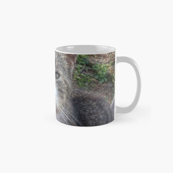 Katze Max Tasse (Standard)