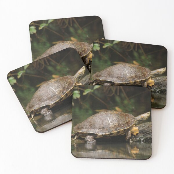 Item preview, Mesoamerican Slider Turtle in Tortuguero designed and sold by MinkMaguari.