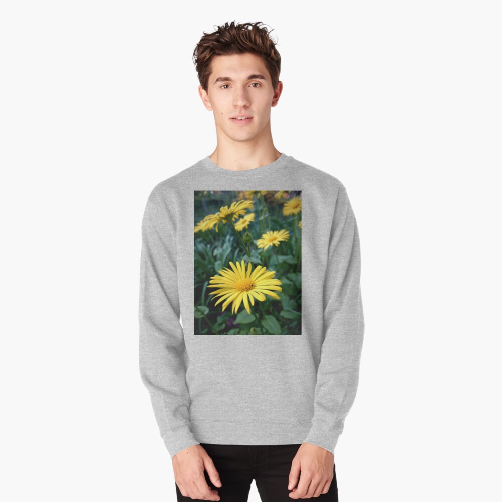 Kaukasischer Gemswurz Pullover