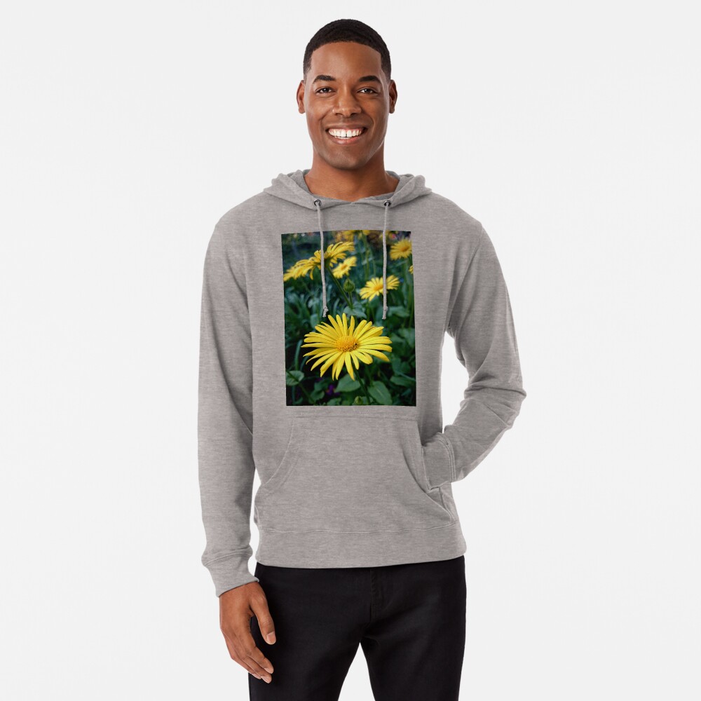 Artikel-Vorschau von Leichter Hoodie, designt und verkauft von Gourmetkater.