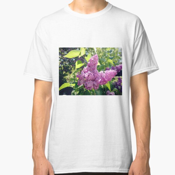 Flieder-Blüte Classic T-Shirt