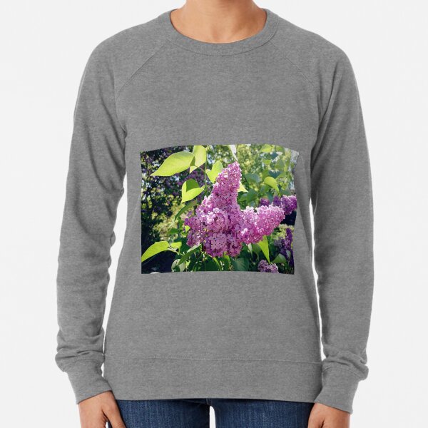 Lilacs bloom Lightweight Sweatshirt