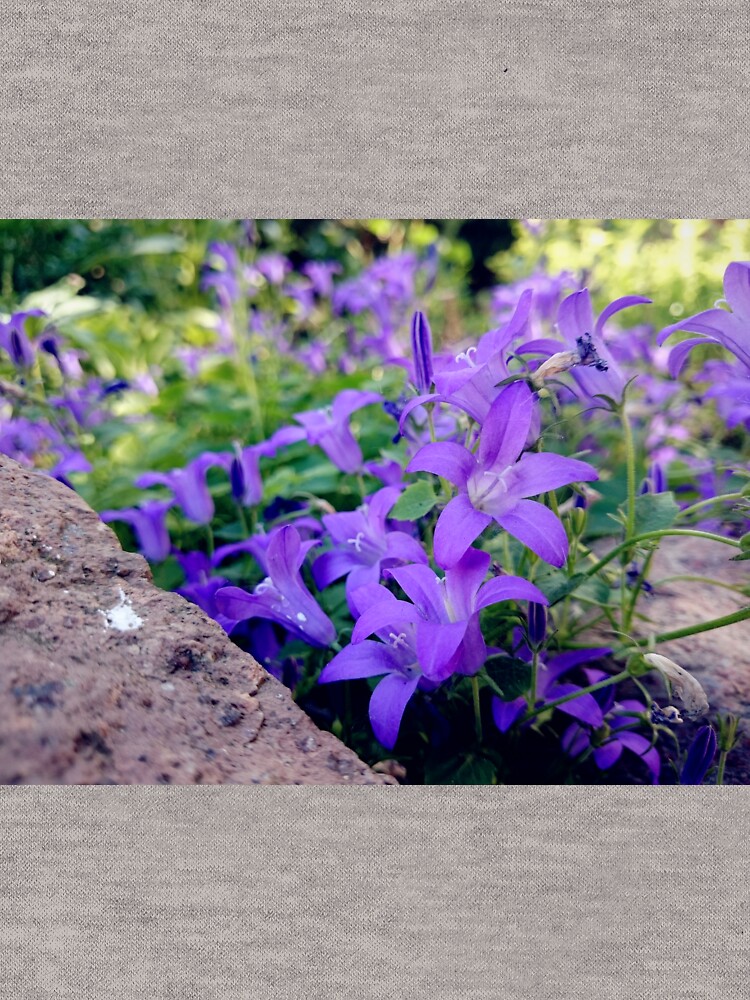 Glockenblume von Gourmetkater
