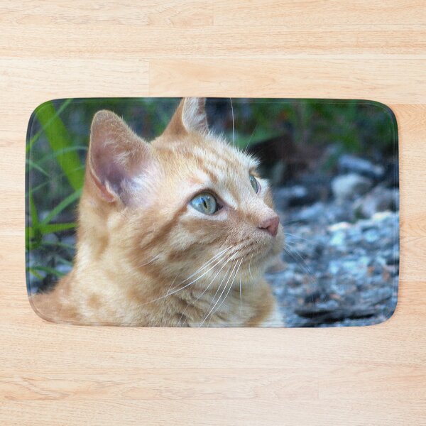 Item preview, Pughead Tommy designed and sold by Frankie Cat Photography.