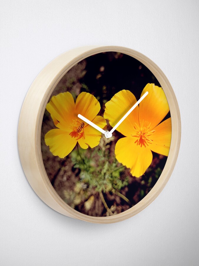 Alternative Ansicht von Kalifornischer Mohn Uhr
