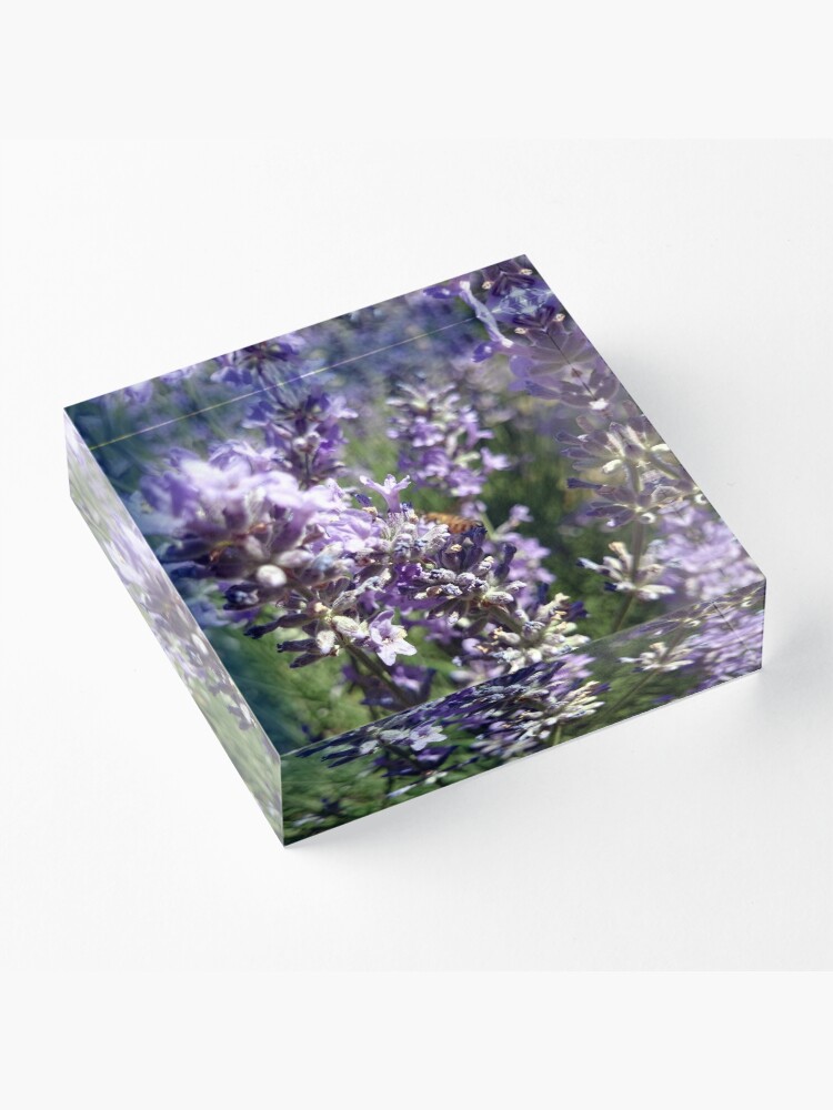 Alternative Ansicht von Lavendel Acrylblock