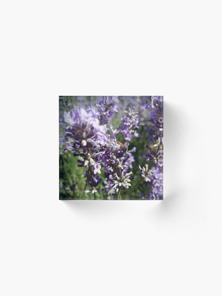 Alternative Ansicht von Lavendel Acrylblock