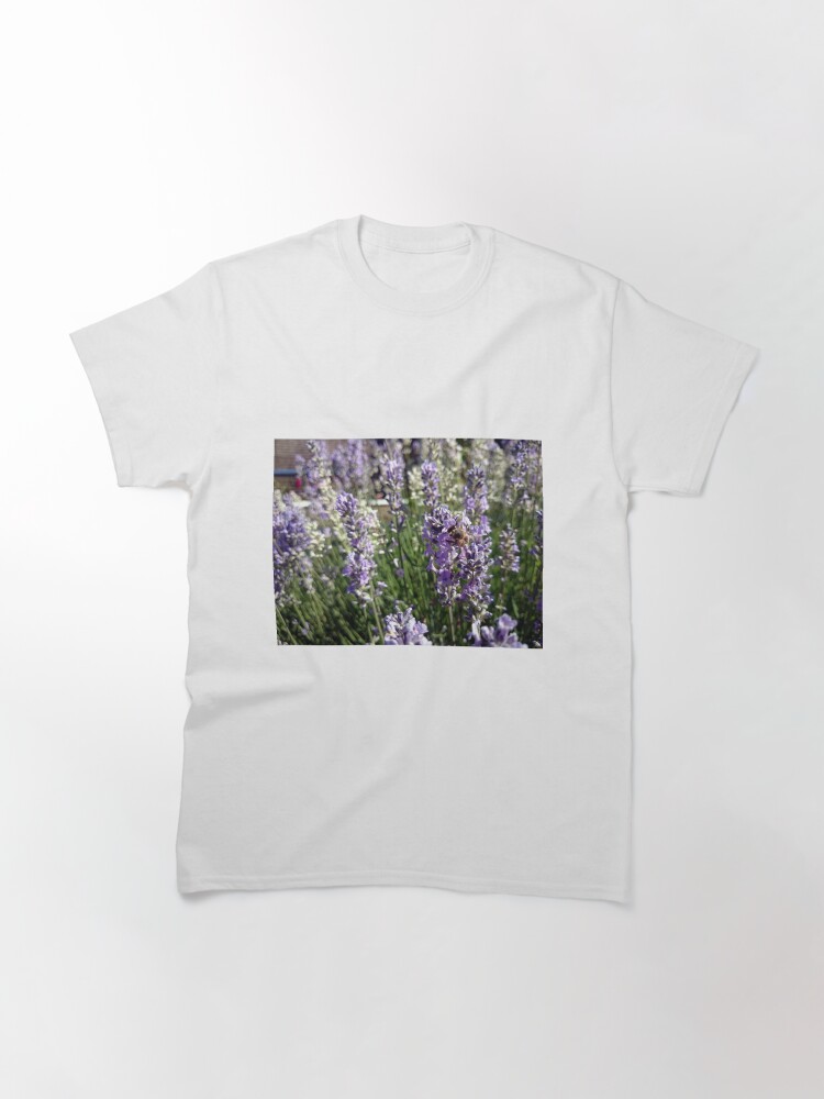 Alternative Ansicht von Lavendel Classic T-Shirt
