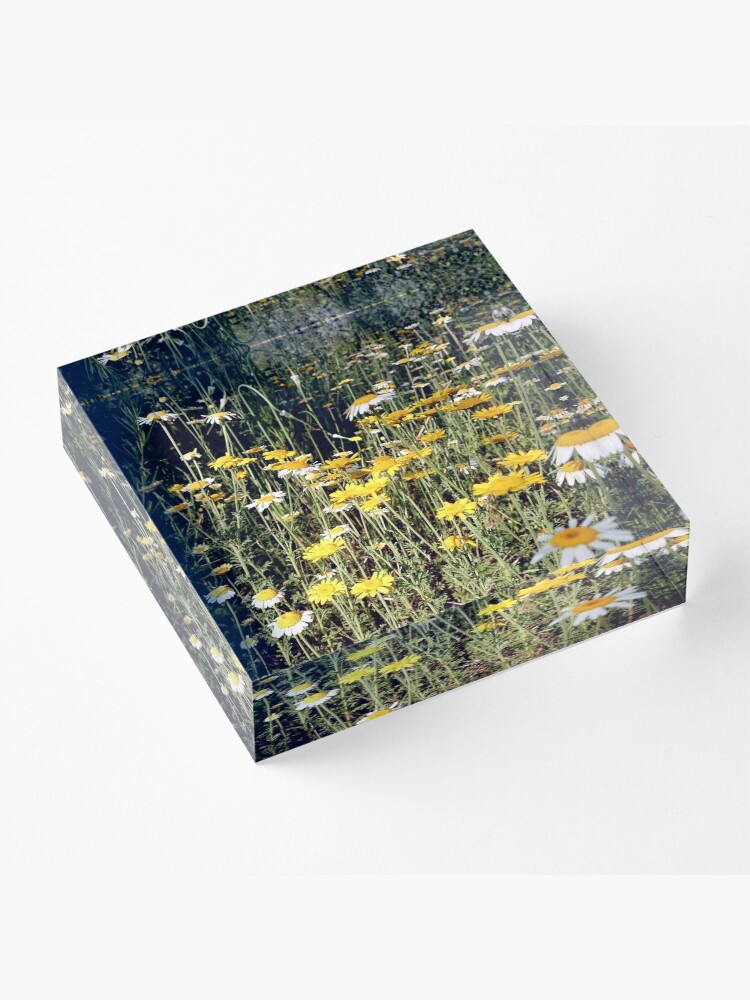 Alternative Ansicht von Färber-Kamille Acrylblock