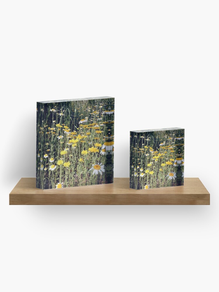 Alternative Ansicht von Färber-Kamille Acrylblock