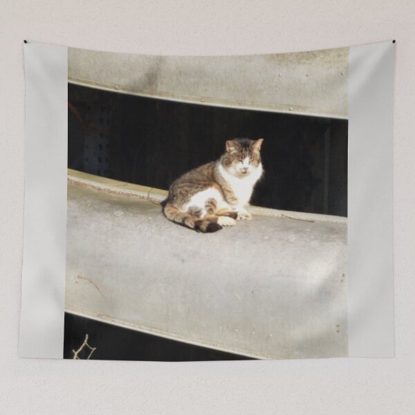 Item preview, Happy Sunshine Canoe Cat designed and sold by MooseDogPhotos.
