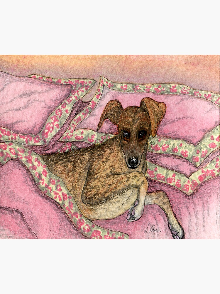 "YOUR bed??? Are you sure??? Greyhound Dog in Bed." Sticker for Sale by