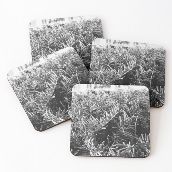 Item preview, Photography- Bush designed and sold by LordGraceArt.
